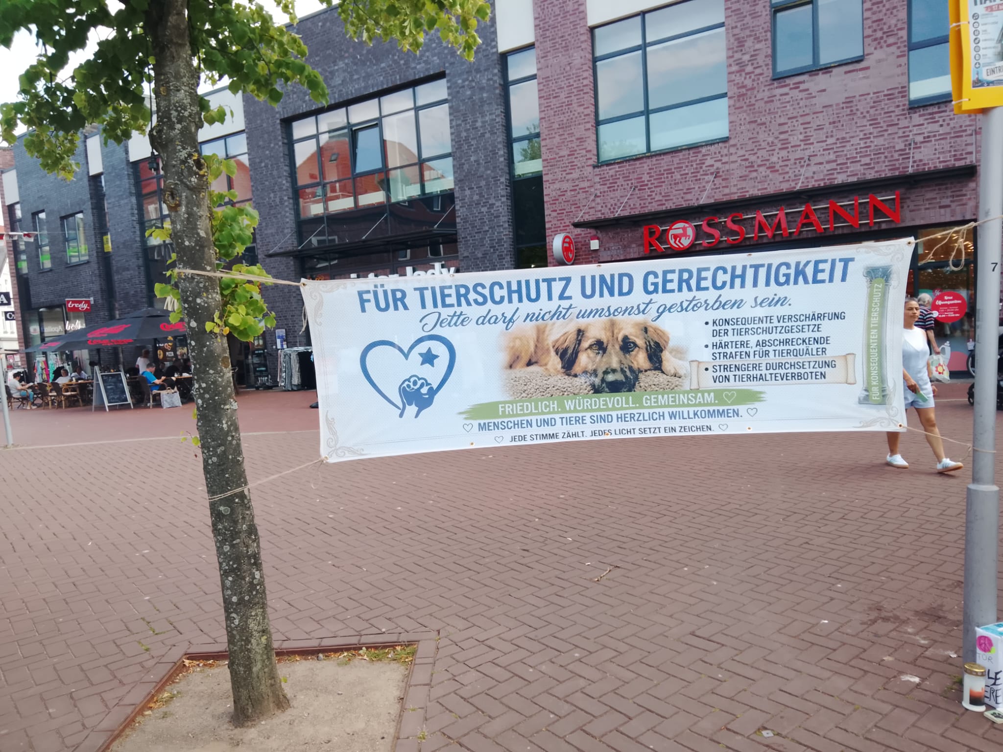 Mahnwache in Cuxhaven: Hunderte setzen ein Zeichen gegen Tierquälerei – Gedenken an Jette